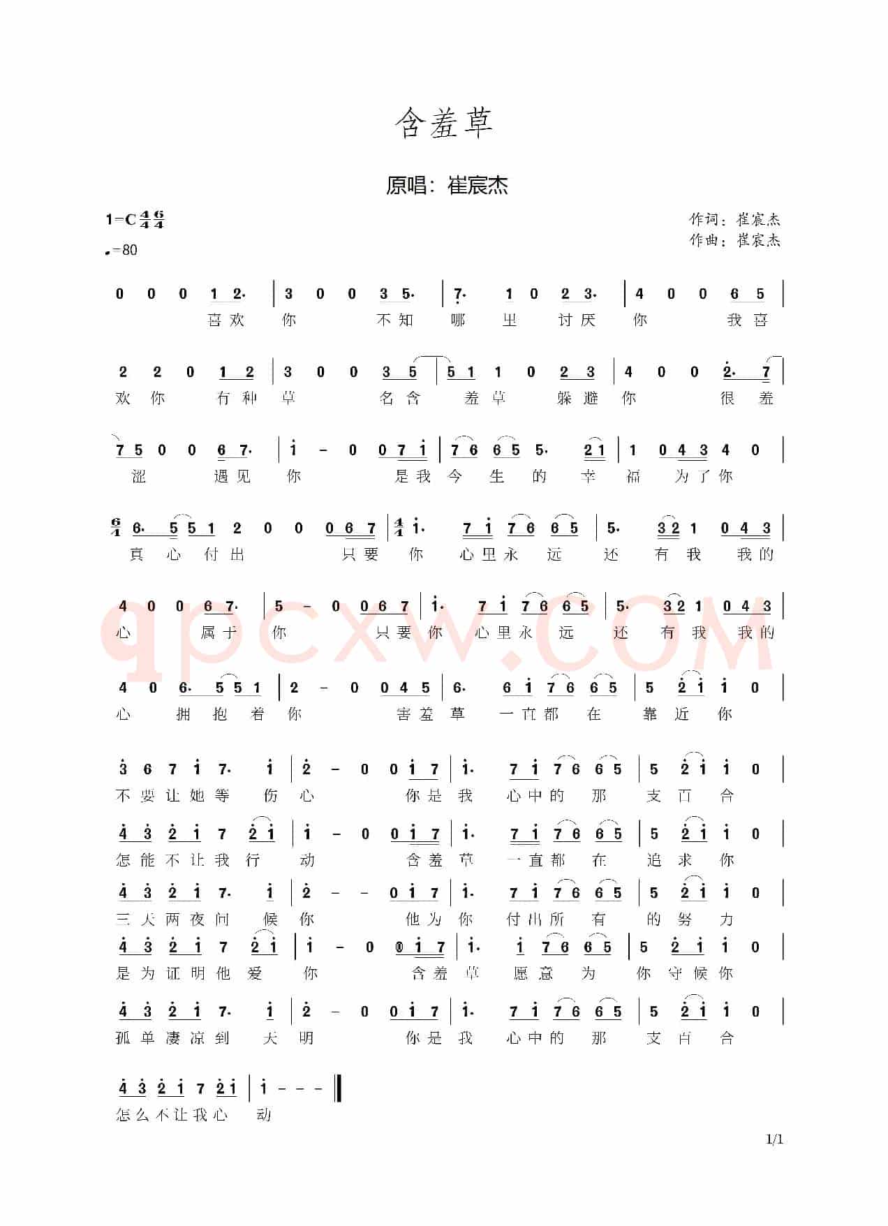 含羞草
