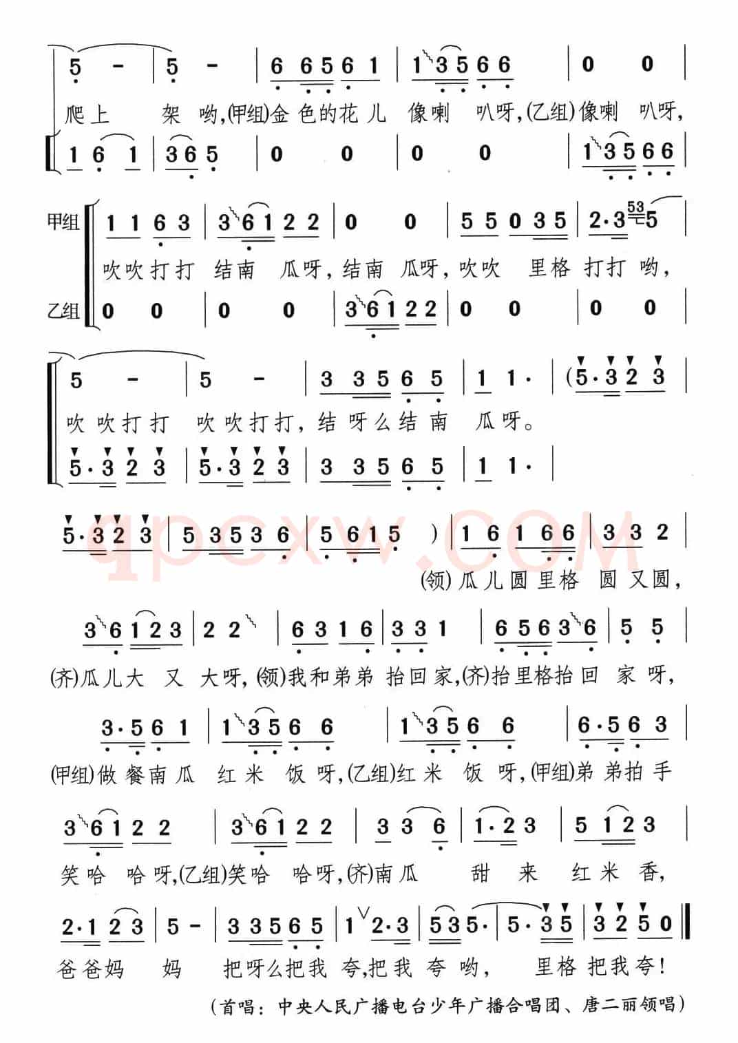 井冈山下种南瓜