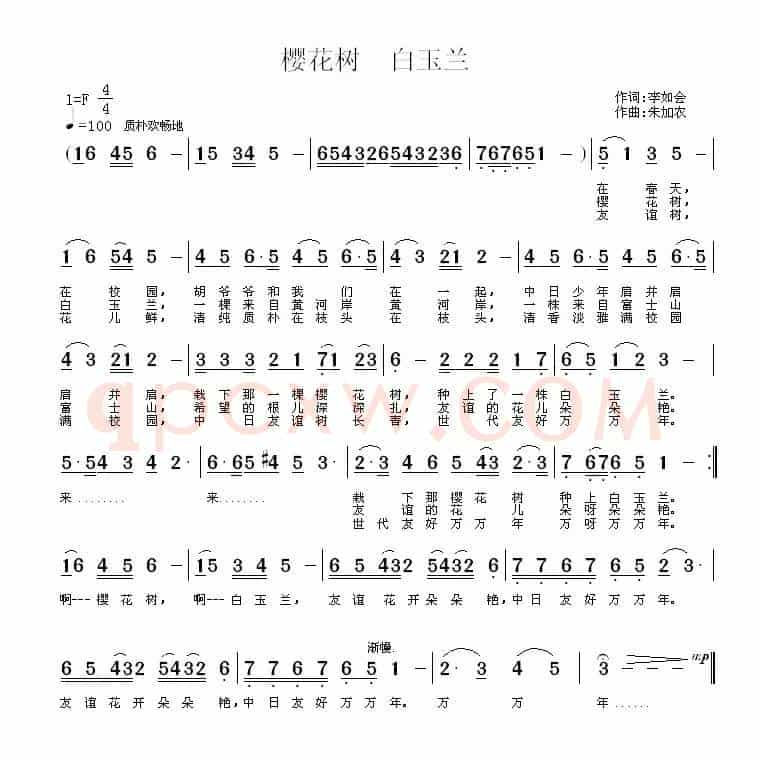 樱花树 白玉兰