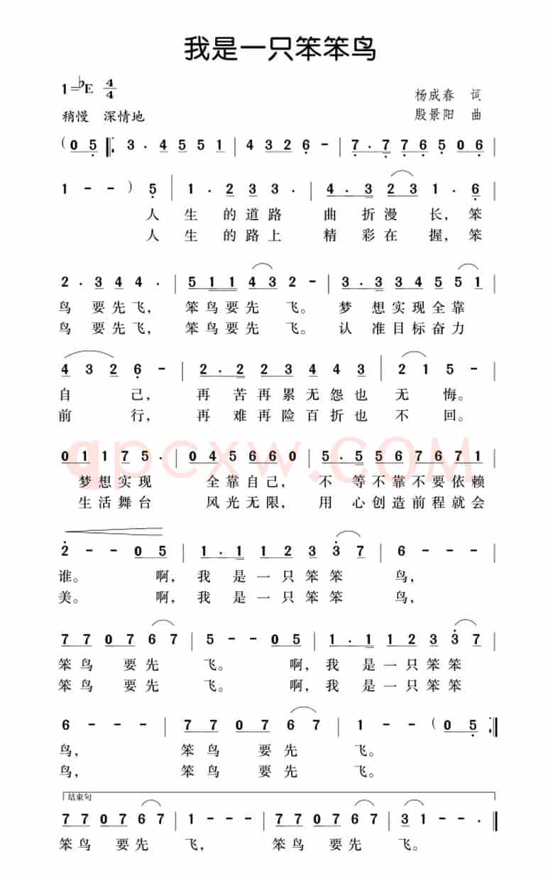 我是一只笨笨鸟