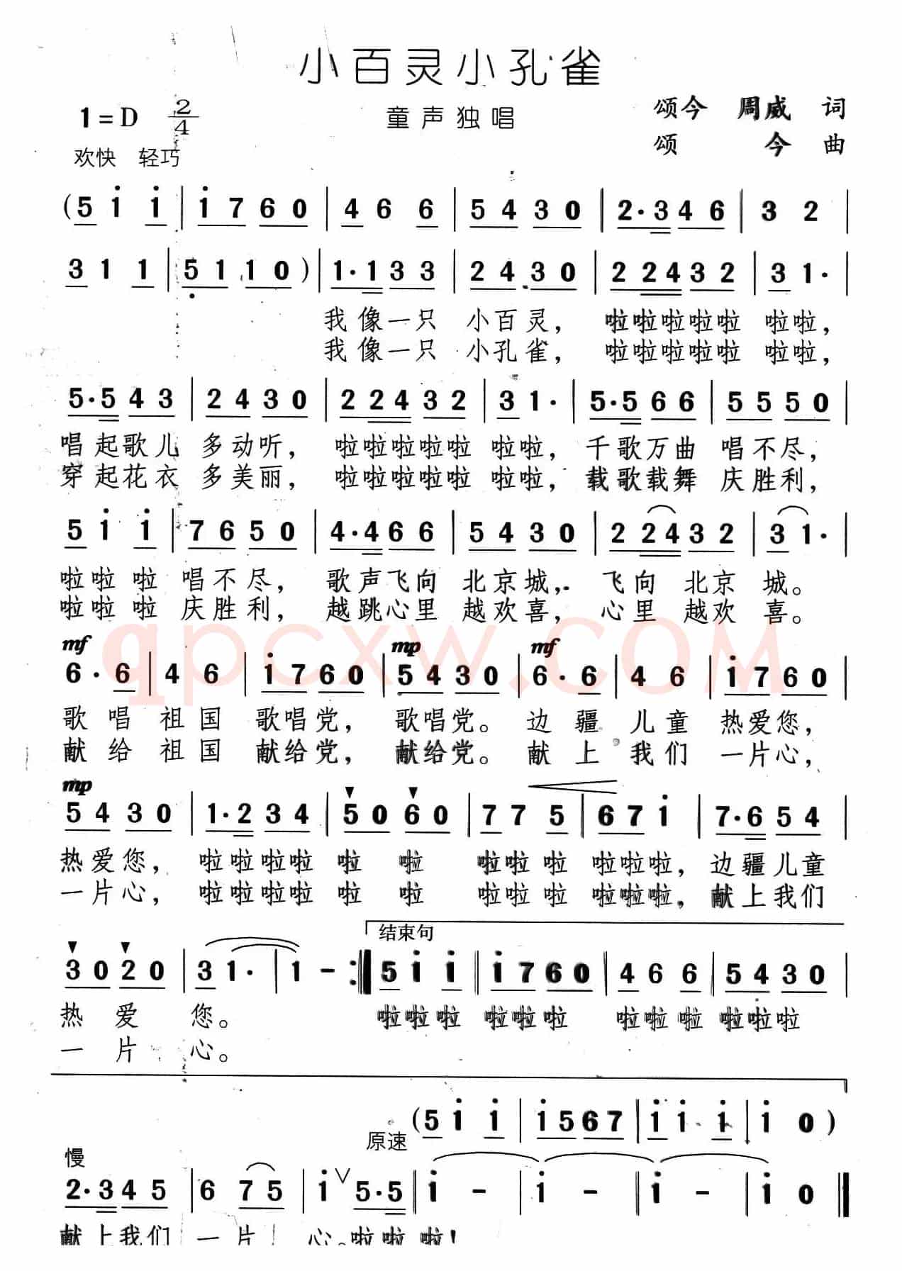 小百灵小孔雀