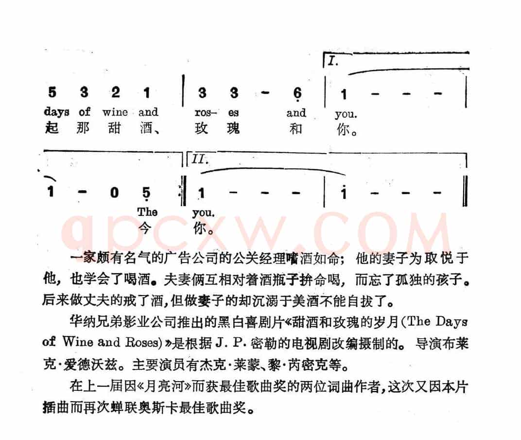 甜酒和玫瑰的岁月（美）