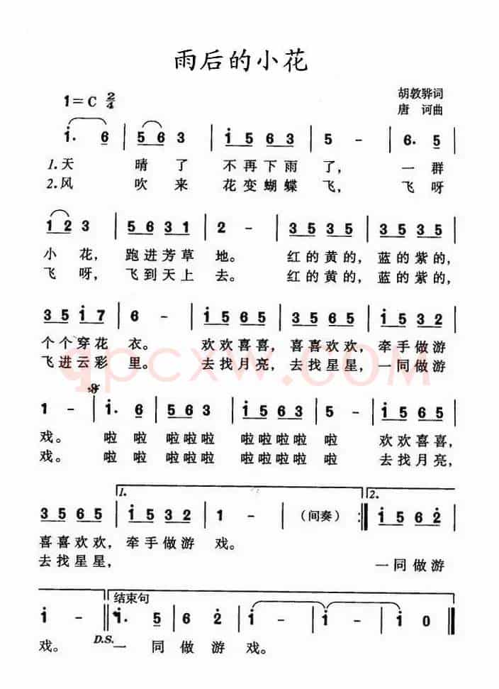 雨后的小花