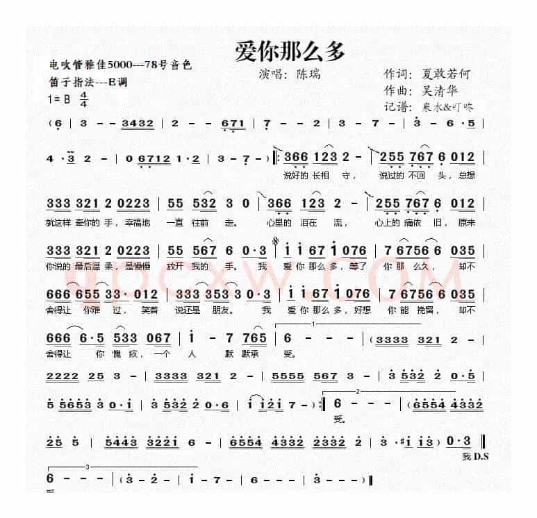 爱你那么多（电吹管）