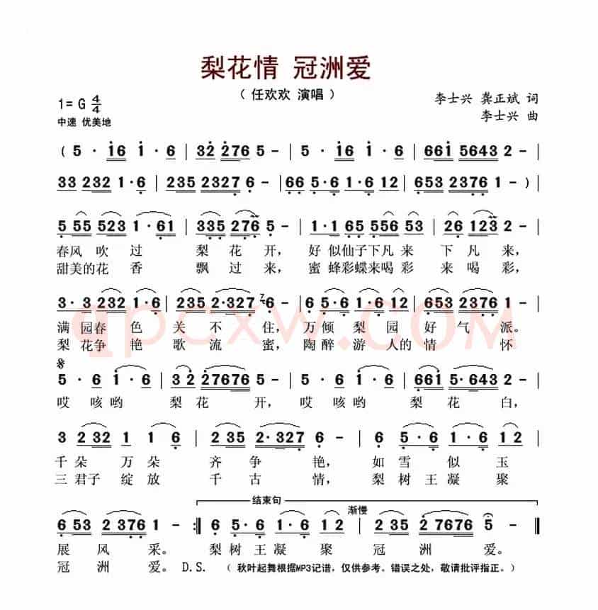 梨花情 冠洲爱