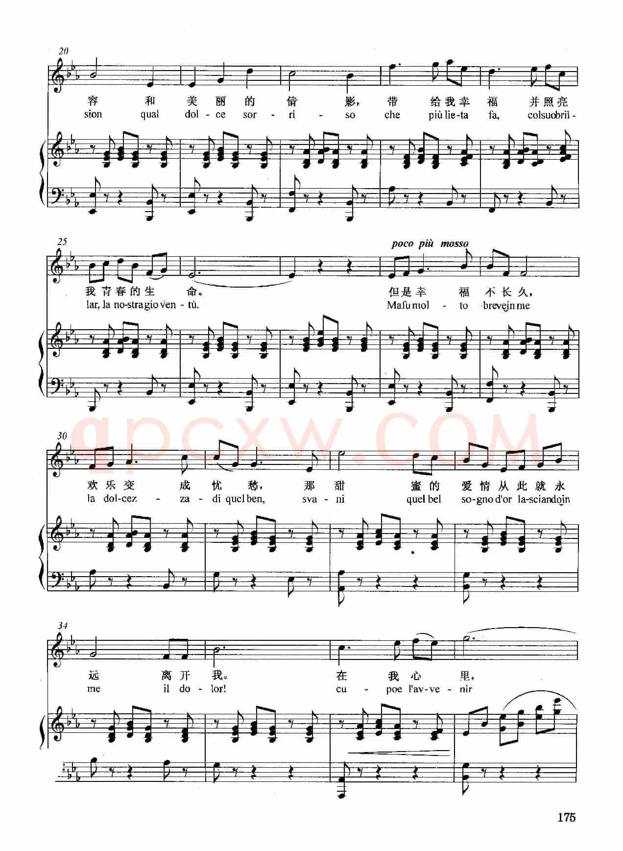[意]悲叹的小夜曲（正谱）