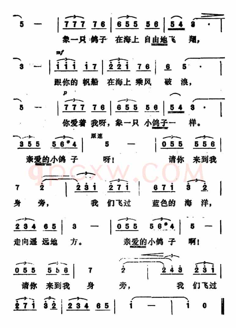 [西班牙] 鸽子