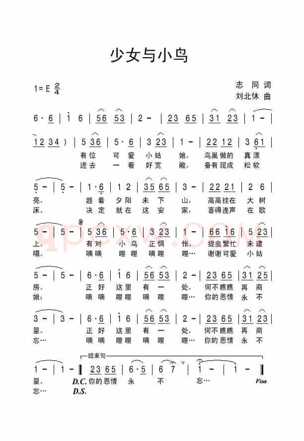 少女与小鸟