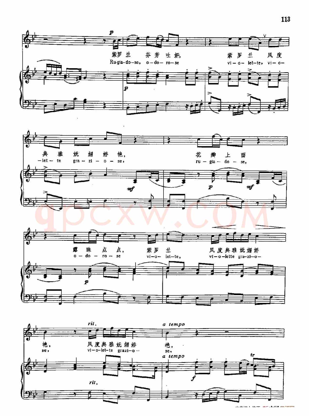 声乐教学曲库3-[意]25紫罗兰（正谱）