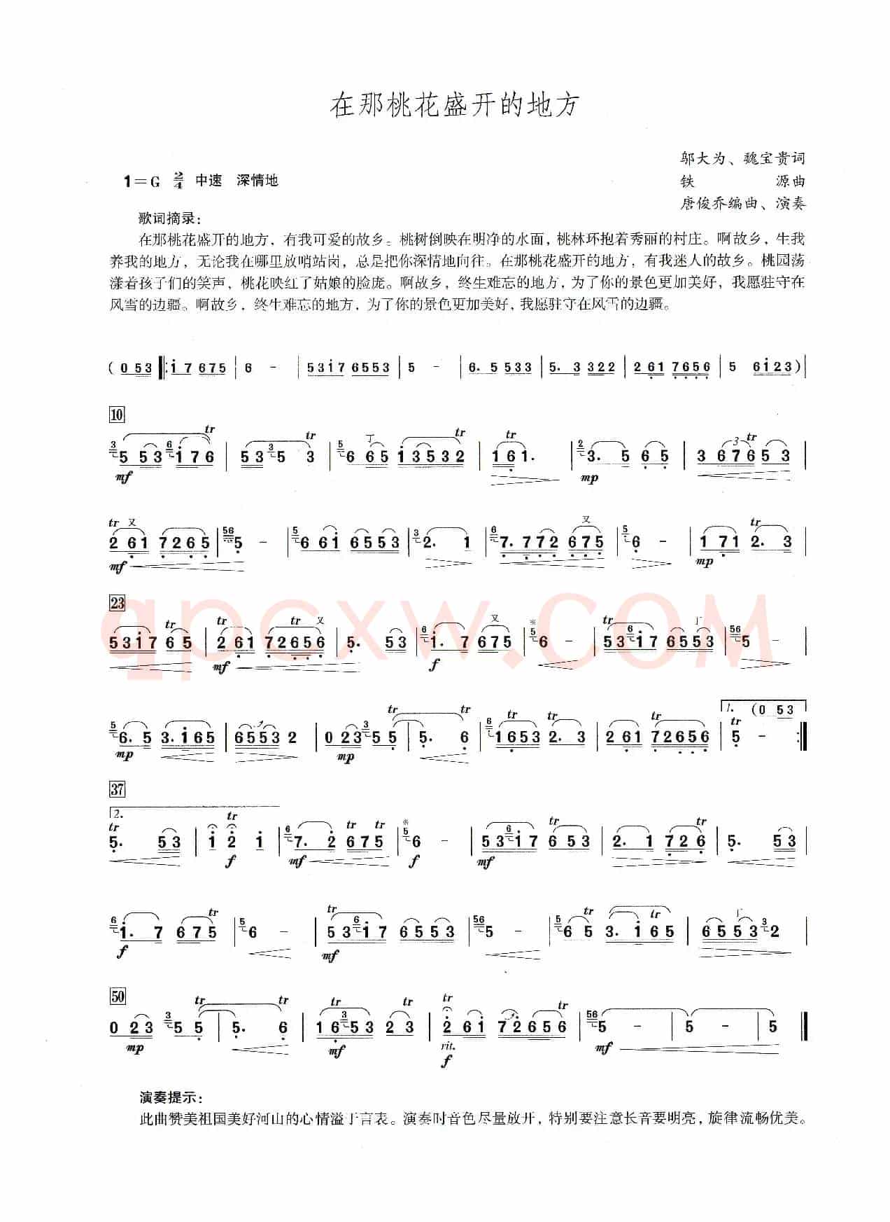 在那桃花盛开的地方（笛子演奏提示版）