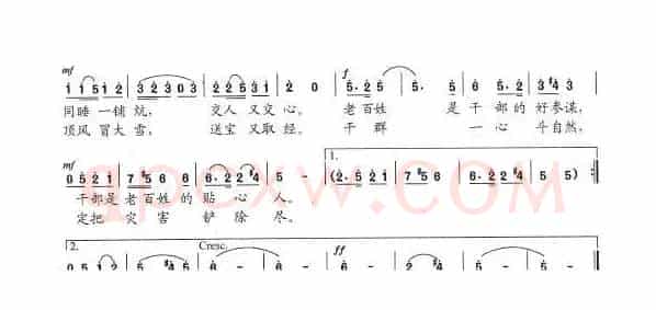 泡桐开花根连根