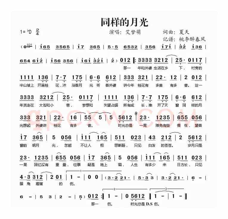 同样的月光