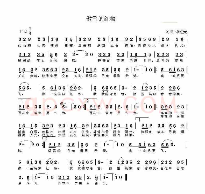 傲雪的红梅