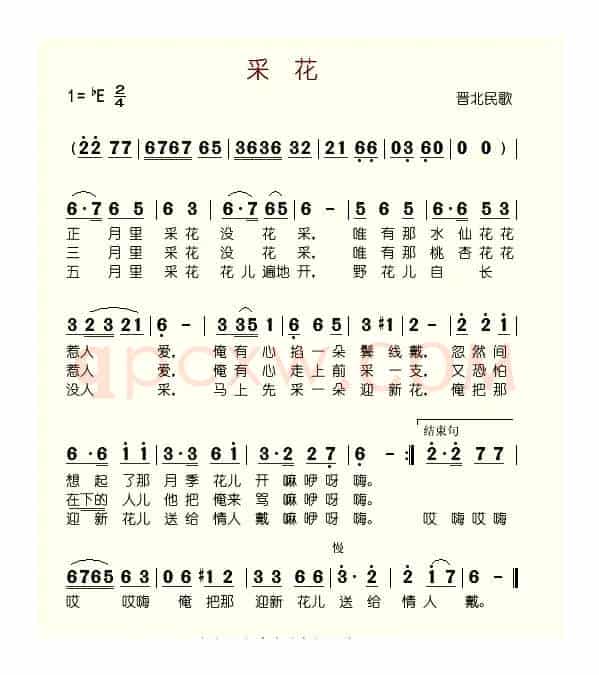 采花（晋北民歌）