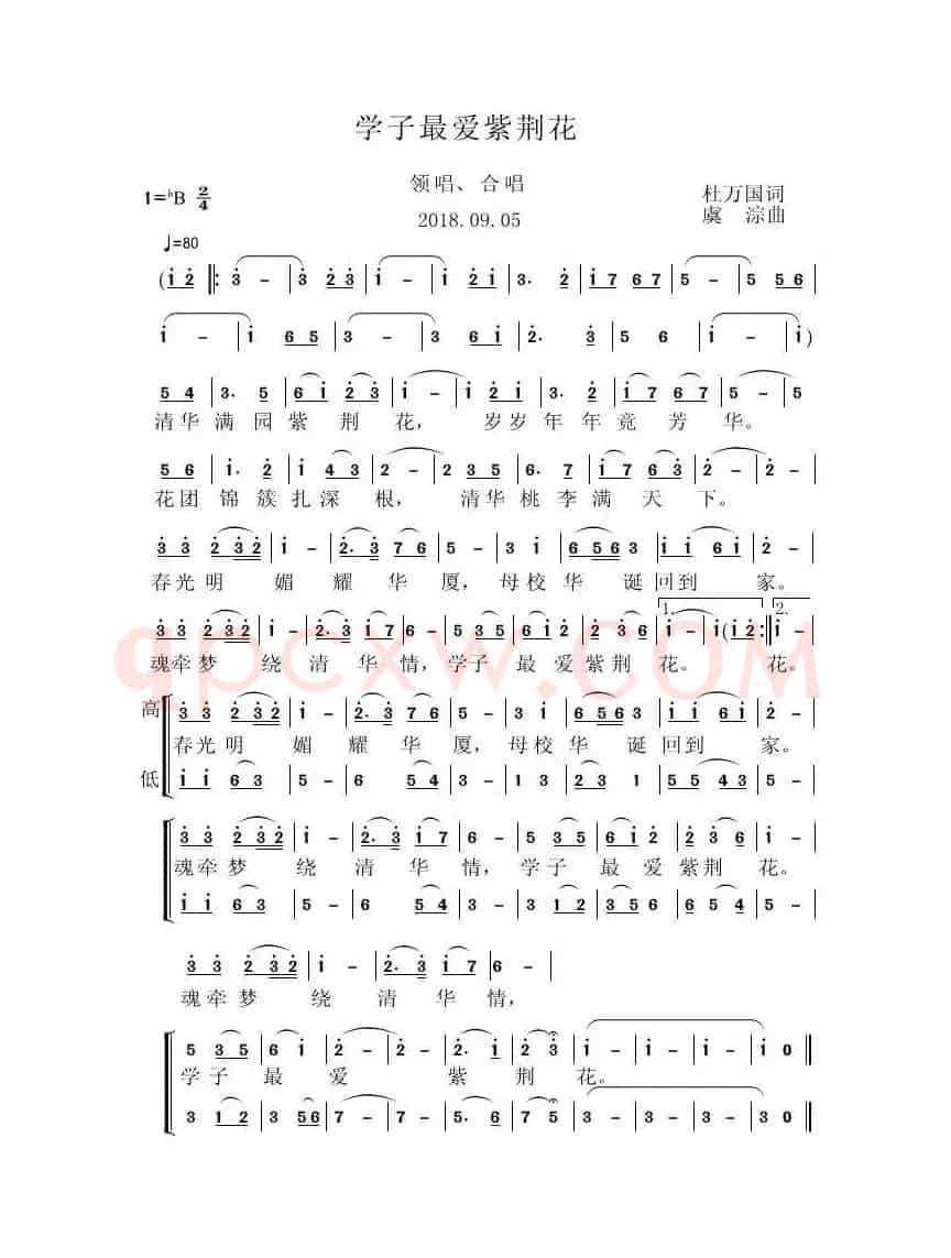 学子最爱紫荆花