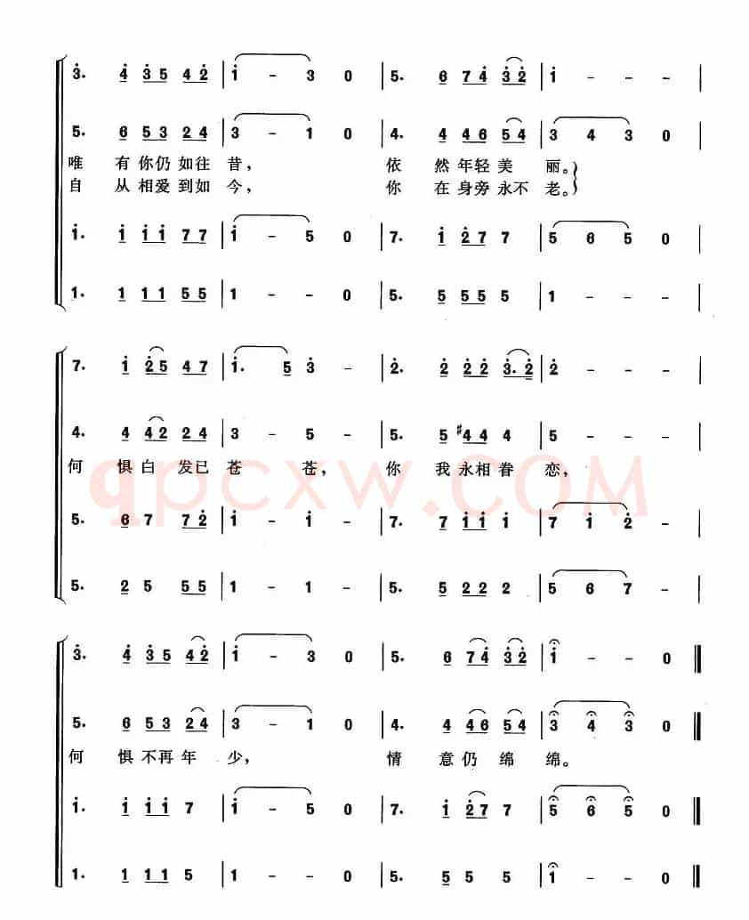 金发添银丝（混声合唱 [美]）