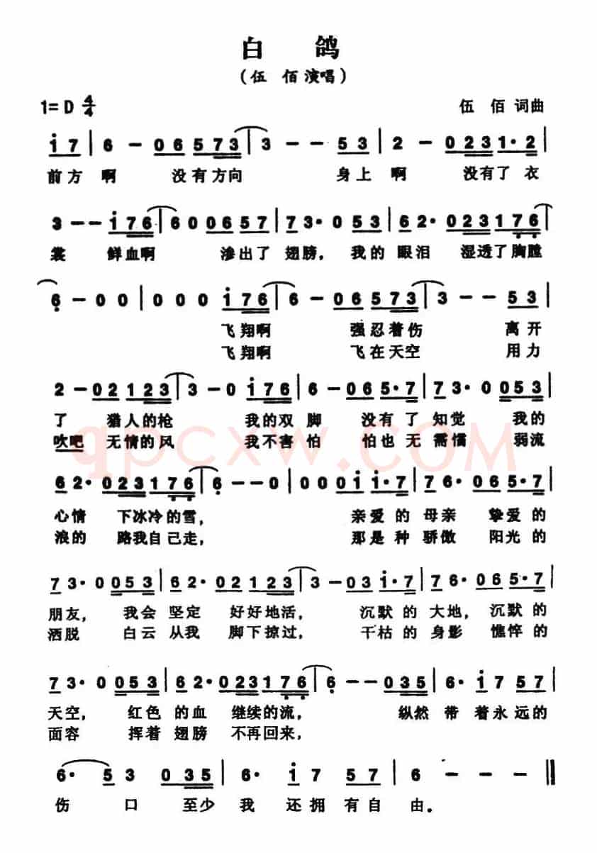 白鸽（伍佰 词曲）