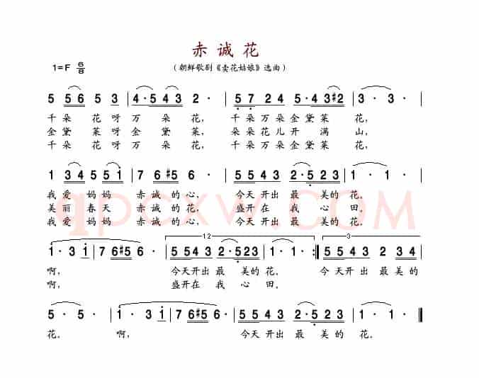 赤诚花
