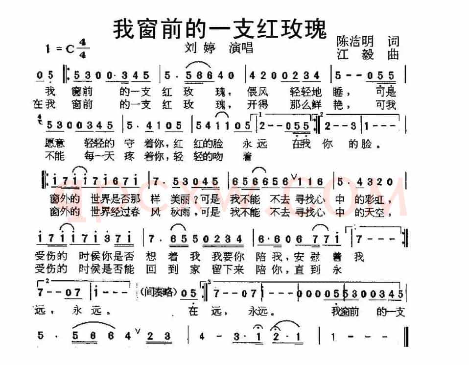 我窗前的一支红玫瑰
