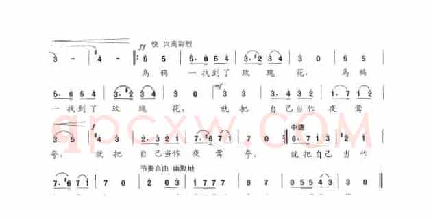 有一次，连乌鸦也找到了玫瑰花