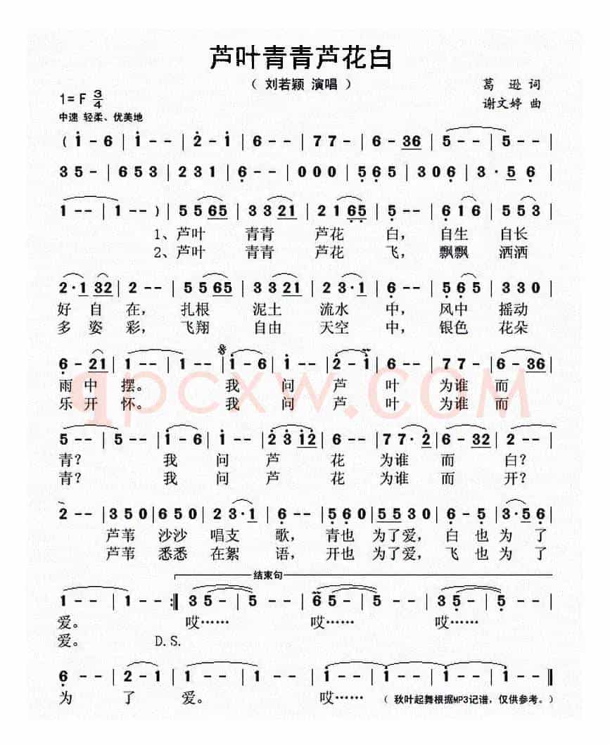 芦叶青青芦花白