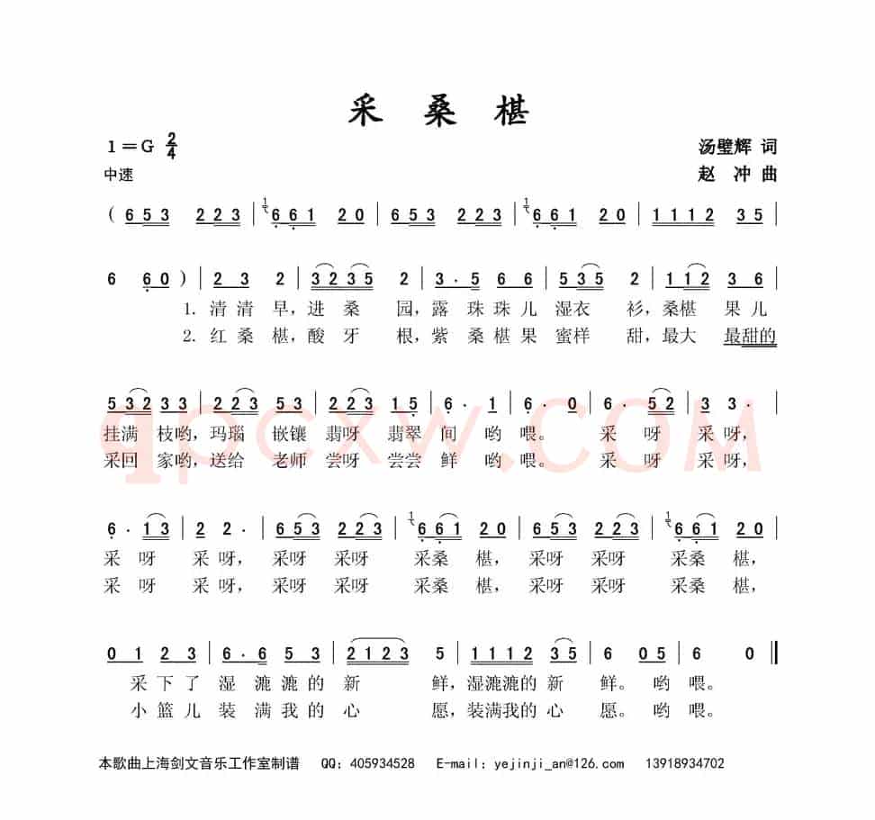 采桑椹