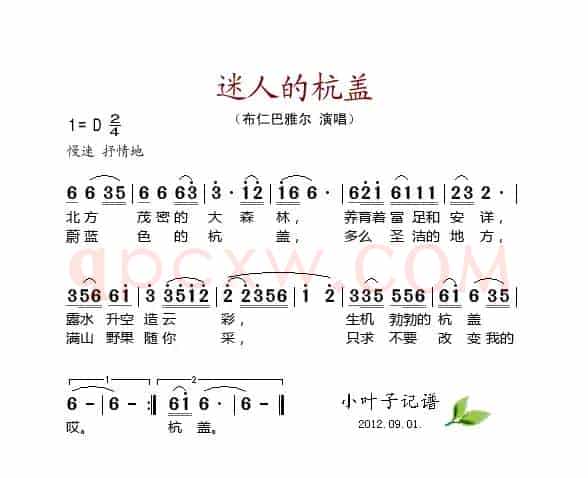迷人的杭盖