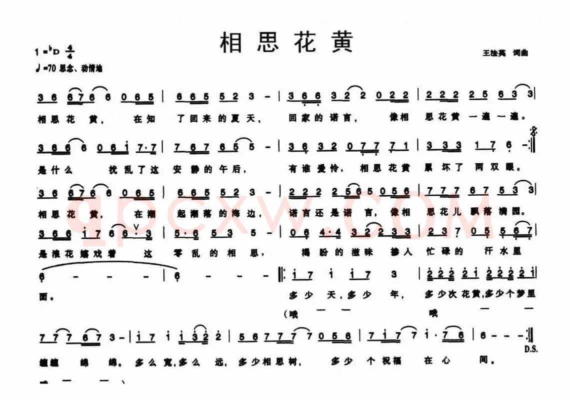 相思花黄