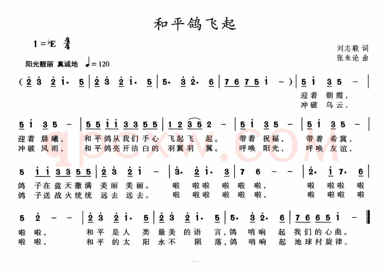 和平鸽飞起