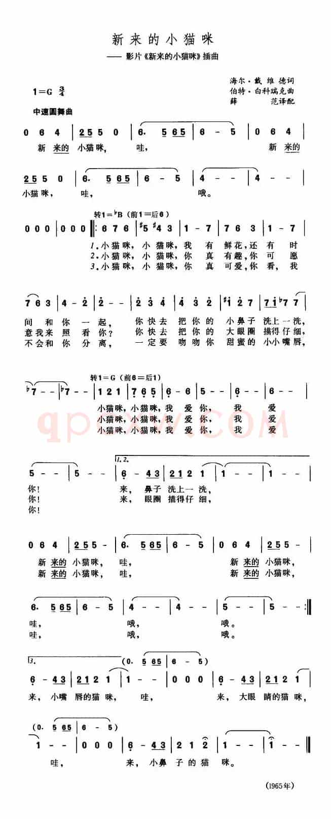 [美] 新来的小猫咪