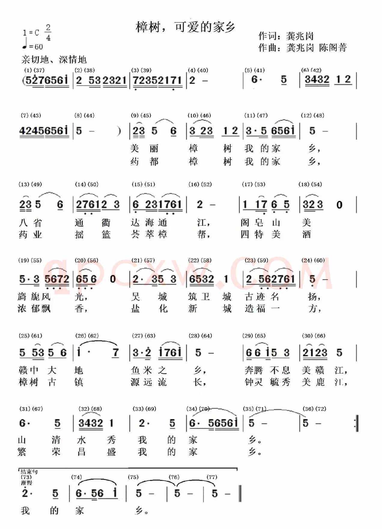 樟树，可爱的家乡