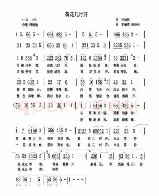 荷花几时开