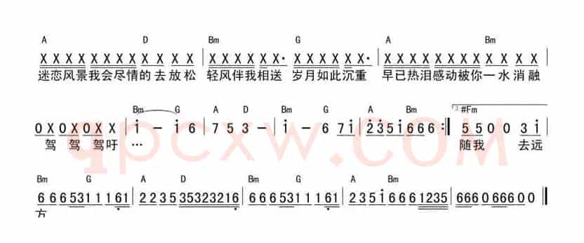 自由飞翔