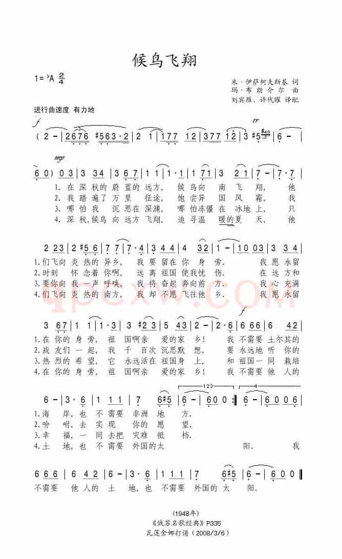 候鸟飞翔（俄）