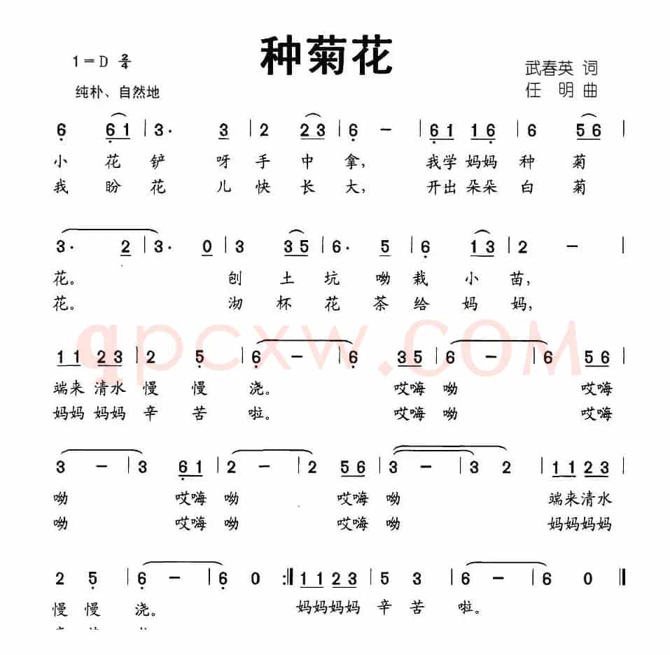 种菊花