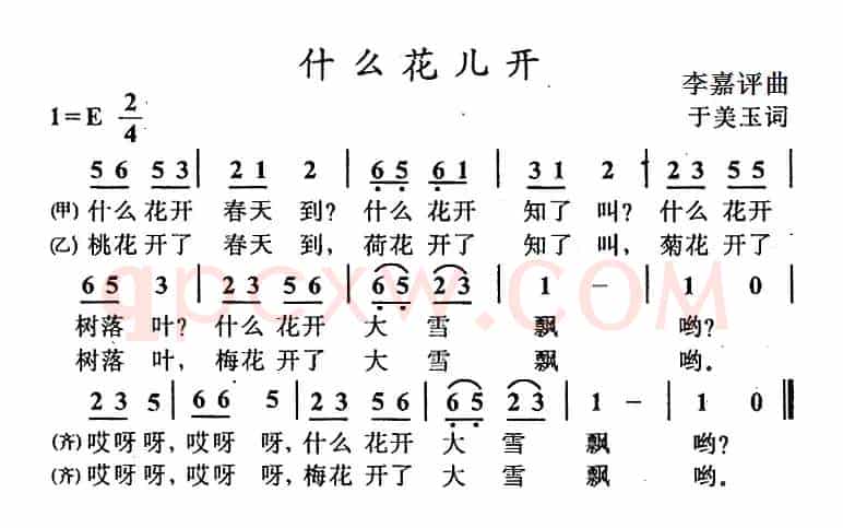 什么花儿开