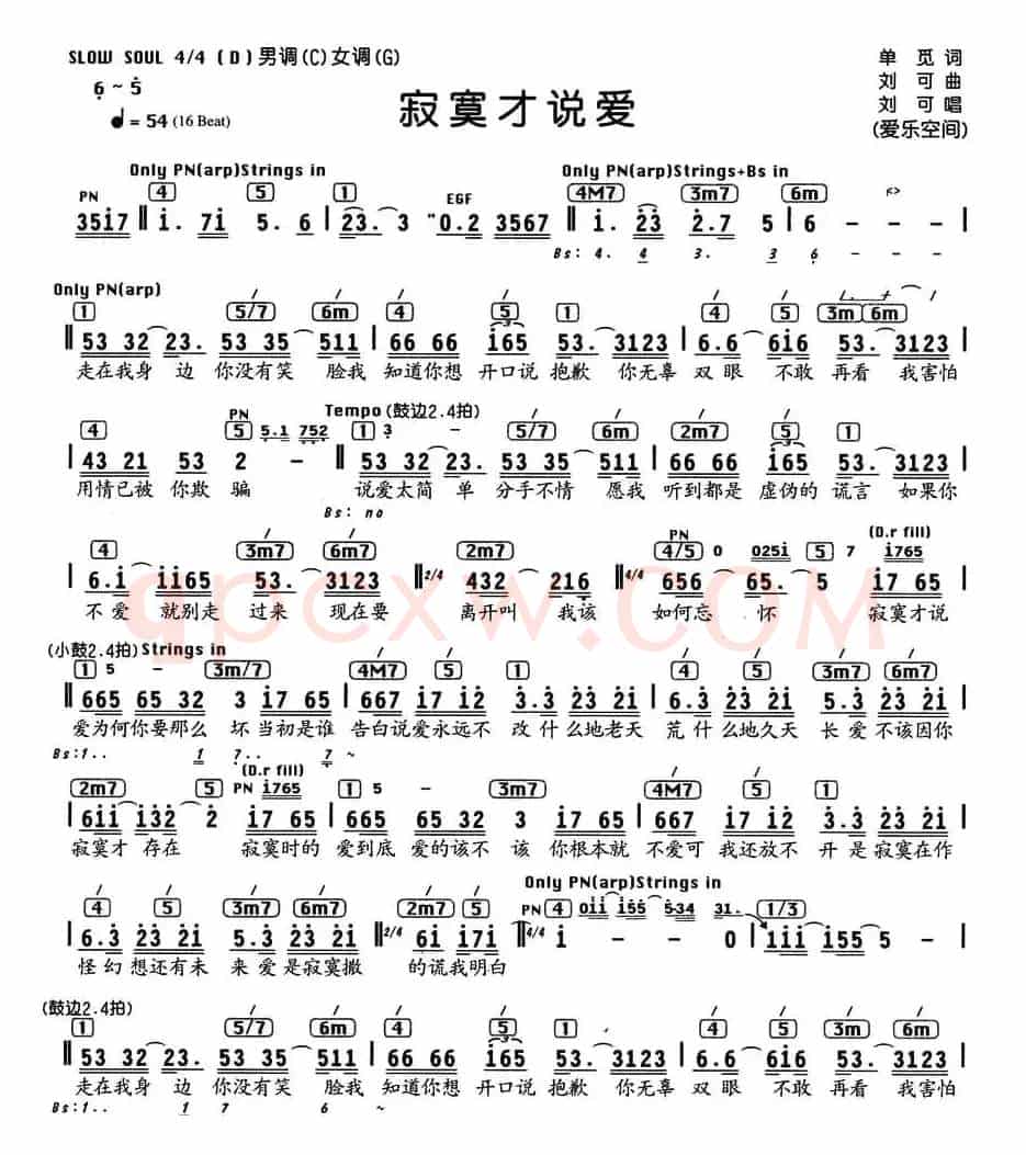 寂寞才说爱（编配乐谱）