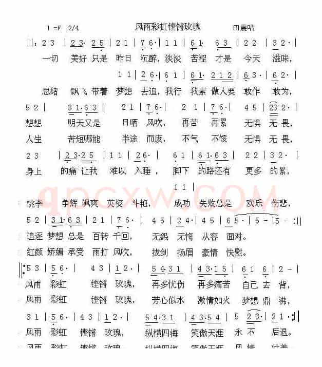 铿锵玫瑰