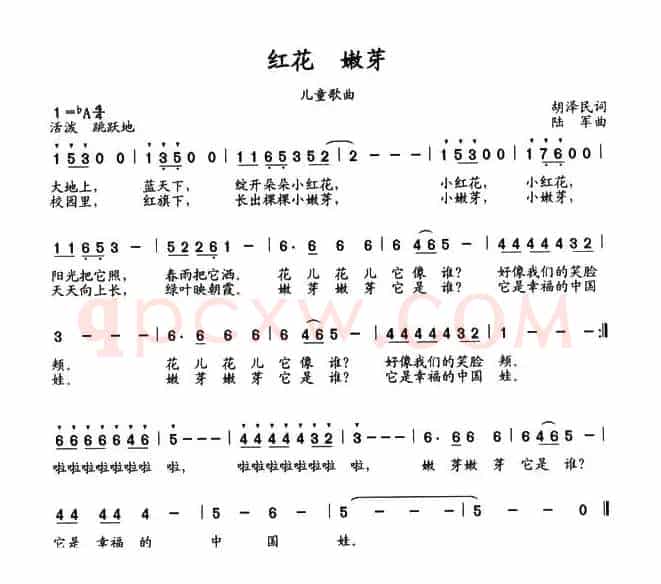 红花 嫩芽