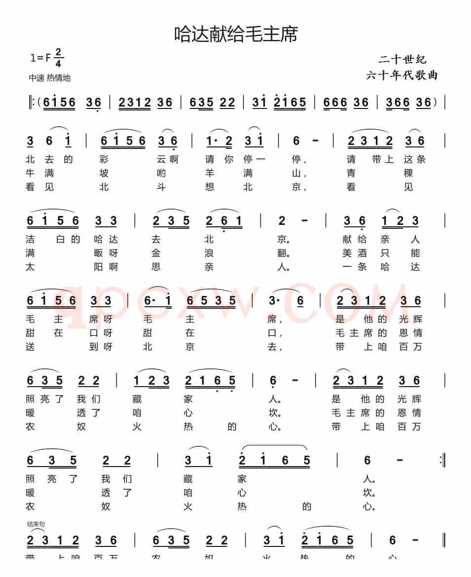 哈达献给毛主席