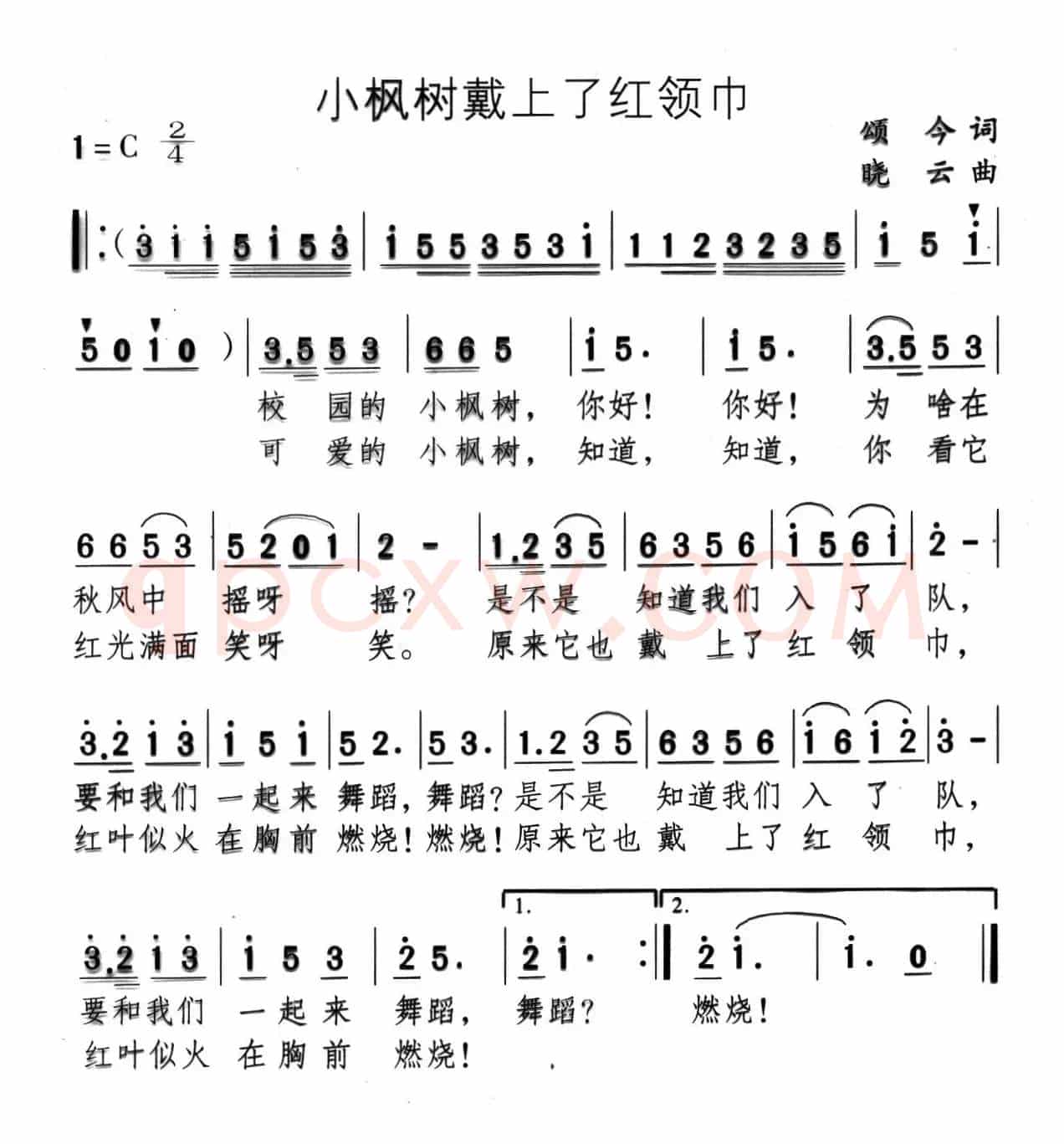小枫树戴上了红领巾