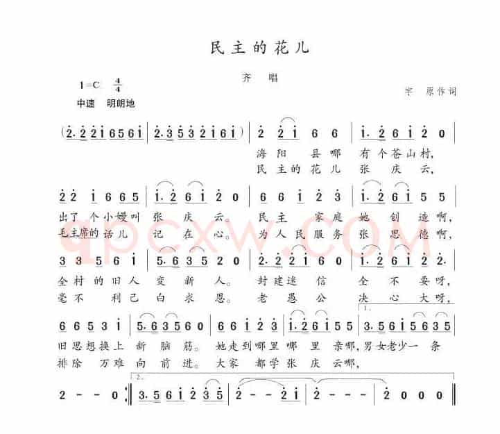 民主的花儿