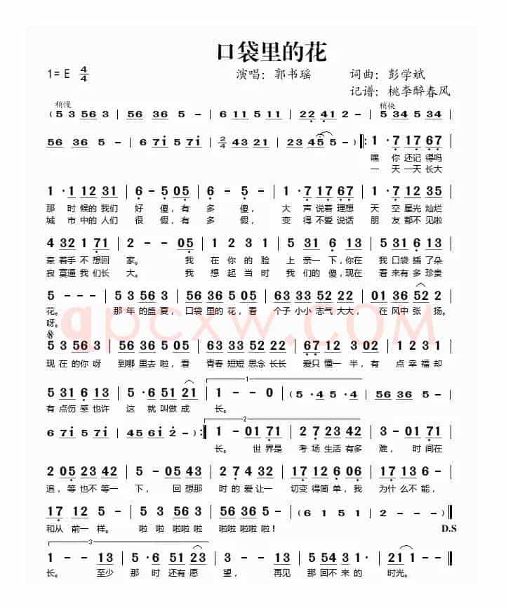 口袋里的花