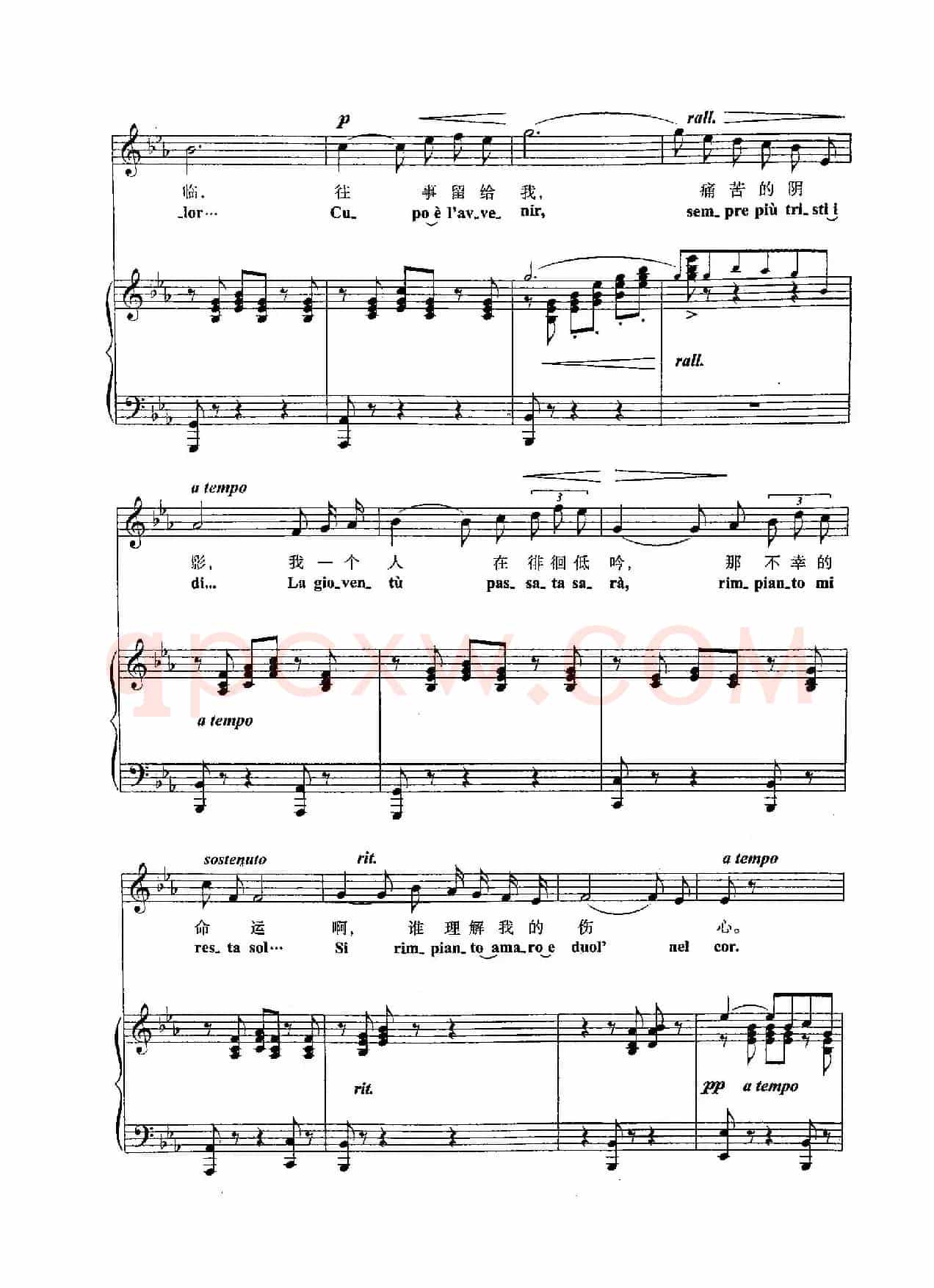 [意]4伤感小夜曲（正谱）
