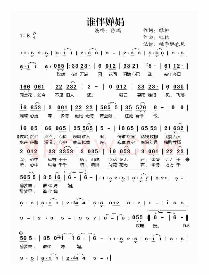 谁伴婵娟
