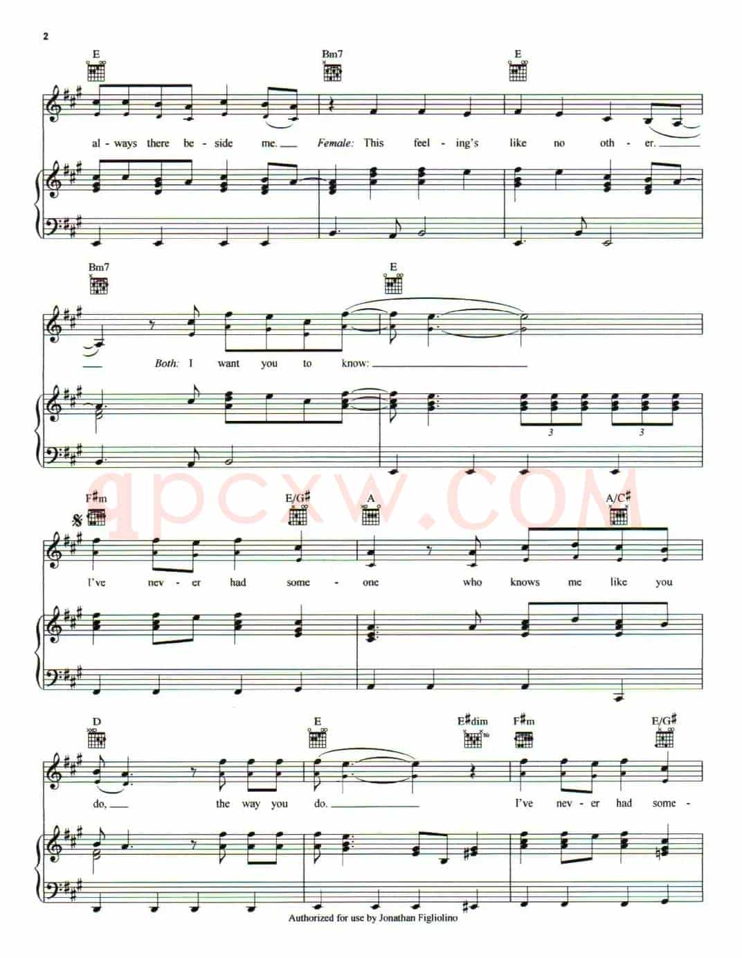 [美]What I've Been Looking For（我有多么寂寞）（正谱）