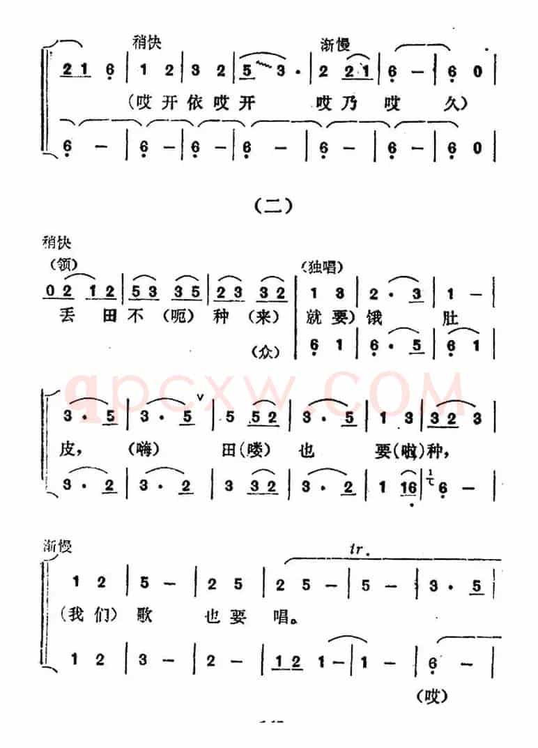 满山鲜花处处香