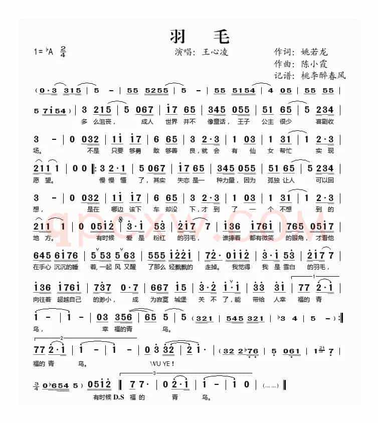 羽毛