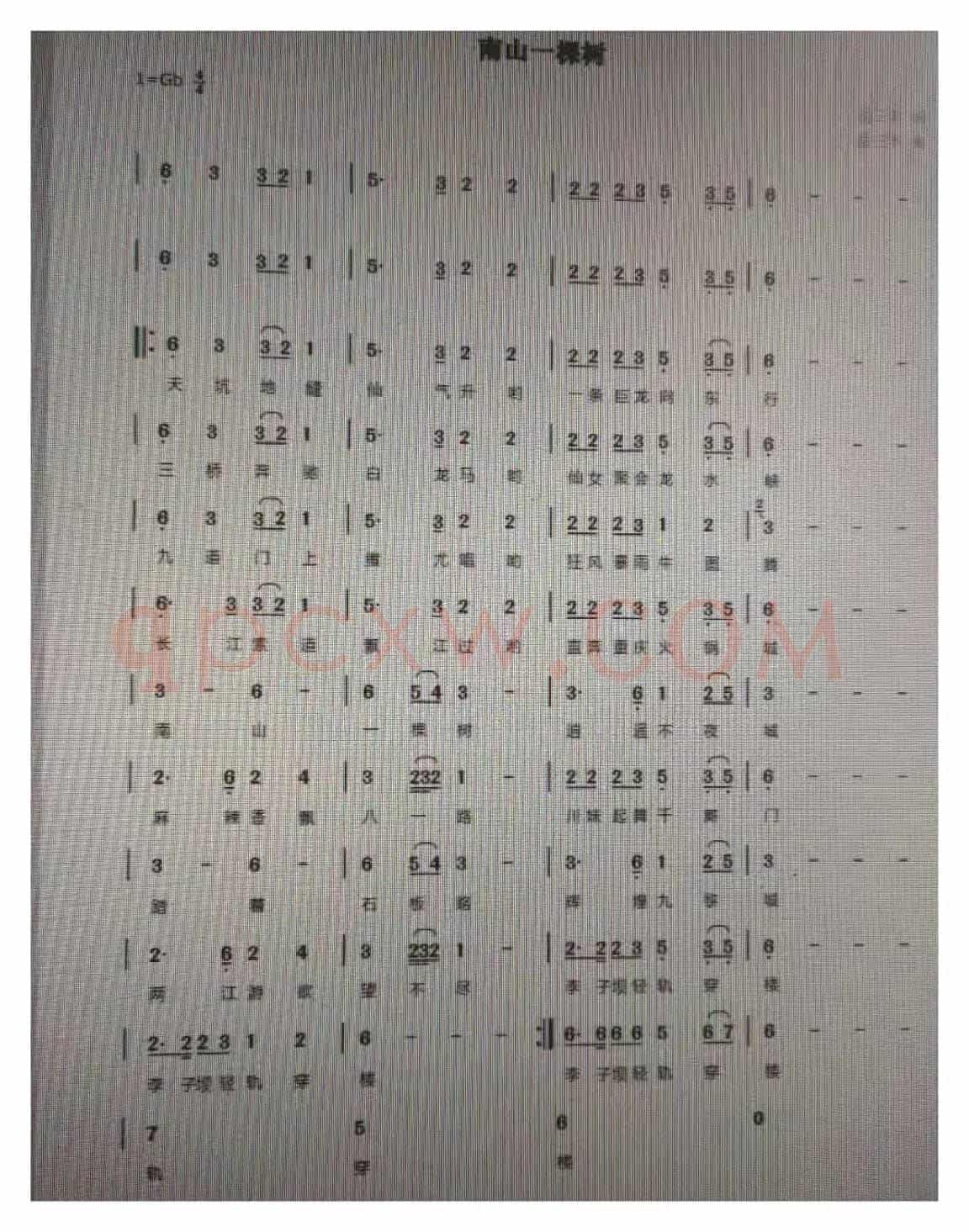 南山一棵树