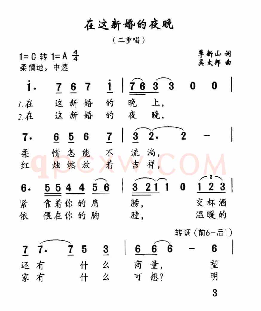 在这新婚的夜晚（二重唱）